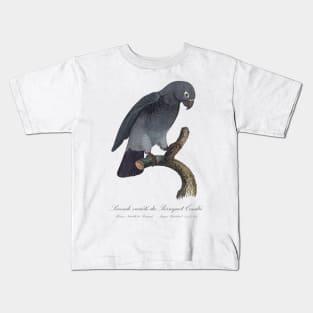 Timneh African Grey Parrot  / Seconde variete du Perroquet Cendre - 19th century Jacques Barraband Illustration Kids T-Shirt